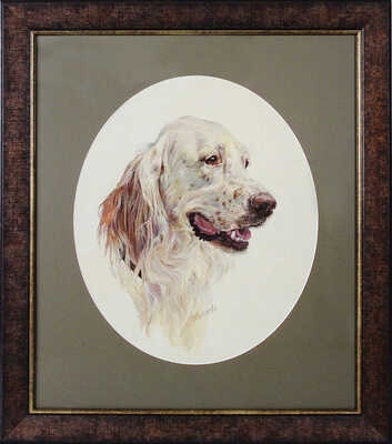 Мостяева Надежда Валентиновна. Голова английского сеттера 